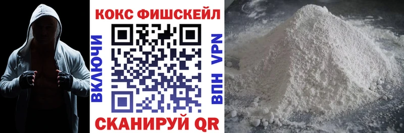 дарнет шоп  Никольск  MEGA как войти  КОКАИН FishScale 
