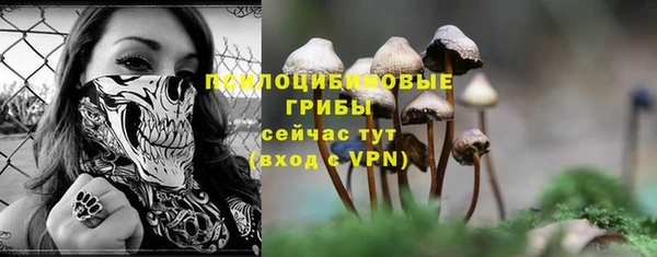 дживик Балахна