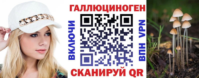 Псилоцибиновые грибы Psilocybine cubensis  kraken   Никольск 